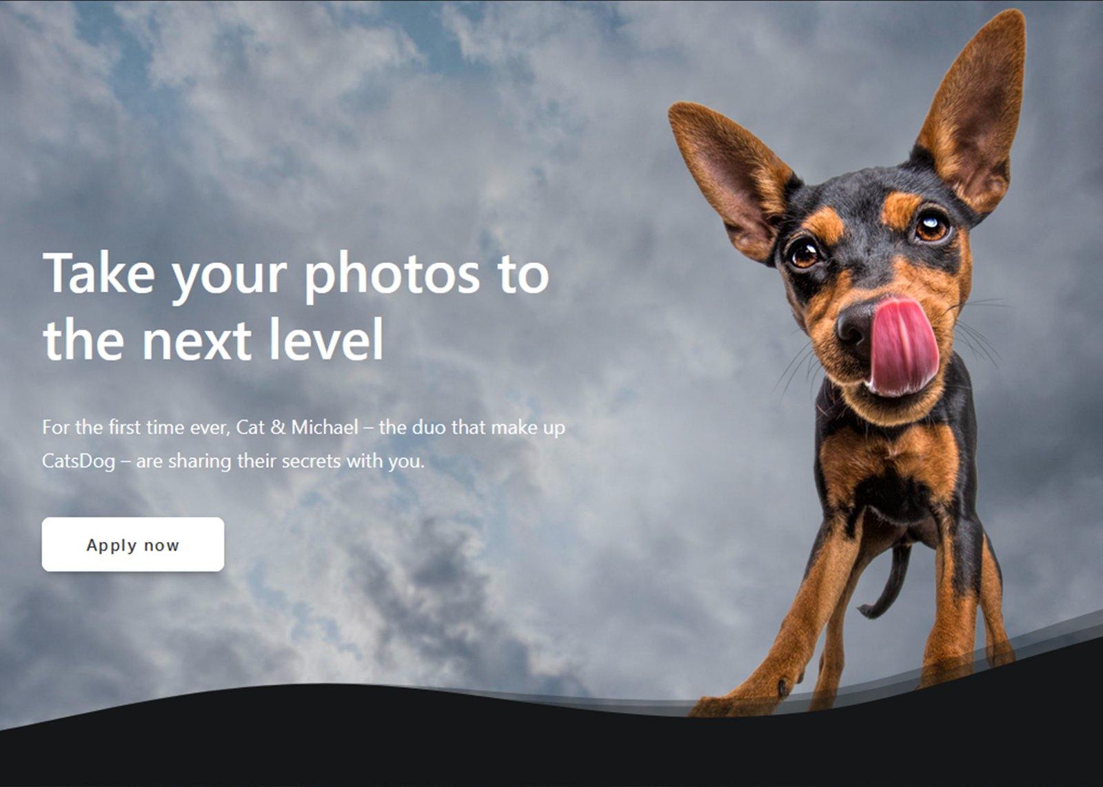 CatsDog - Final Photography Workshop - February 22nd, 2020 - Spider Camera Holster