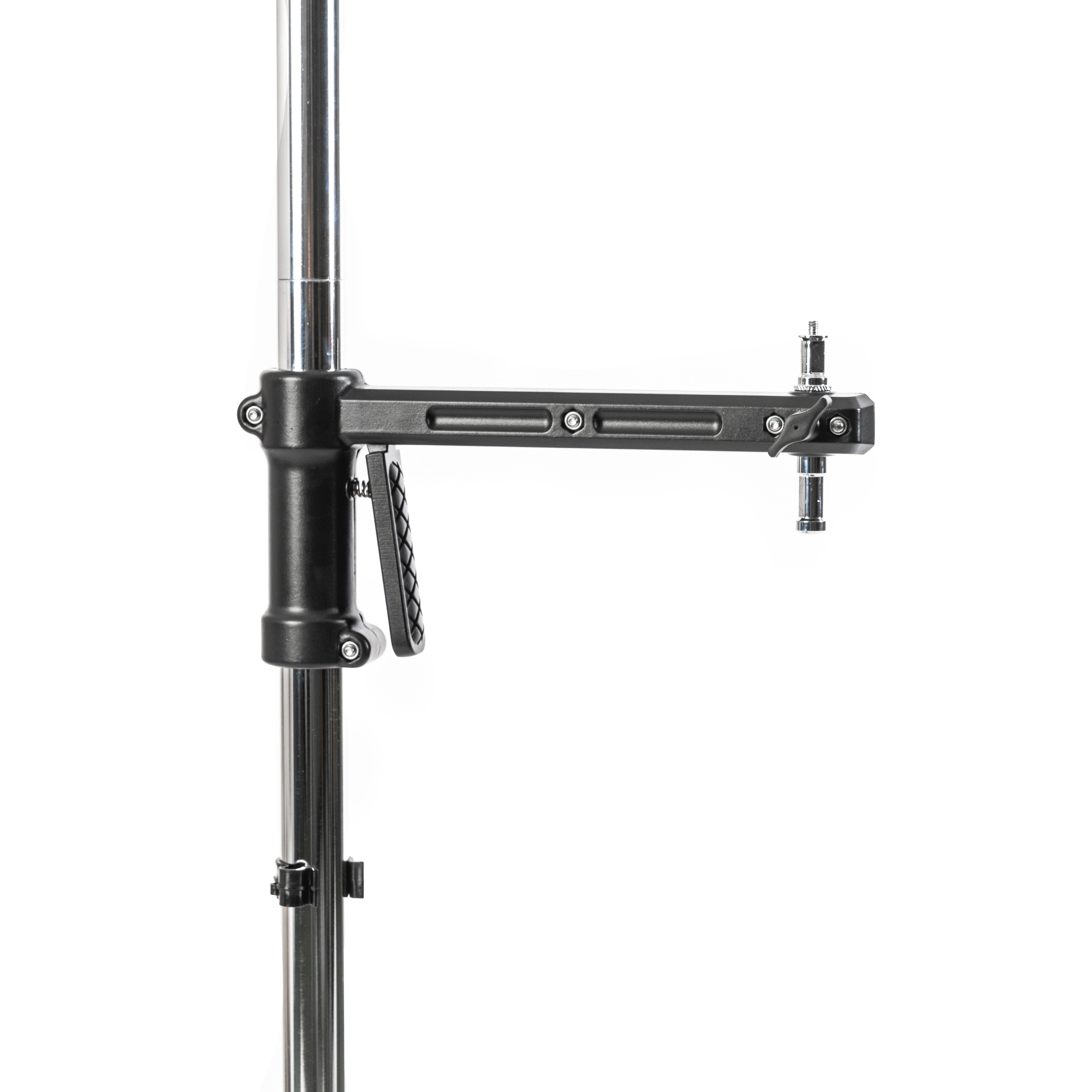 Cheetah Stand Pistol Stand