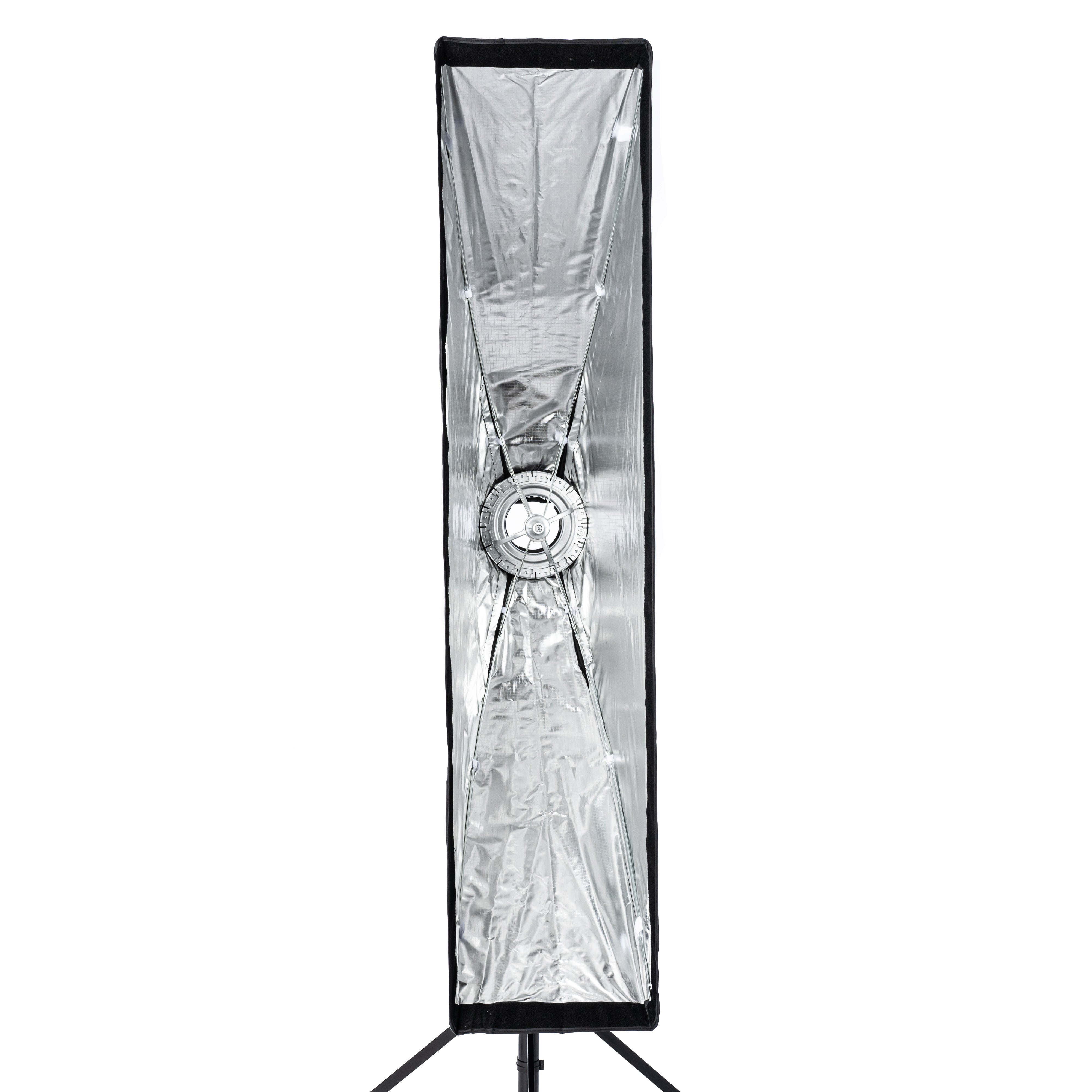 Cheetah Stand 12x55 Strip Softbox