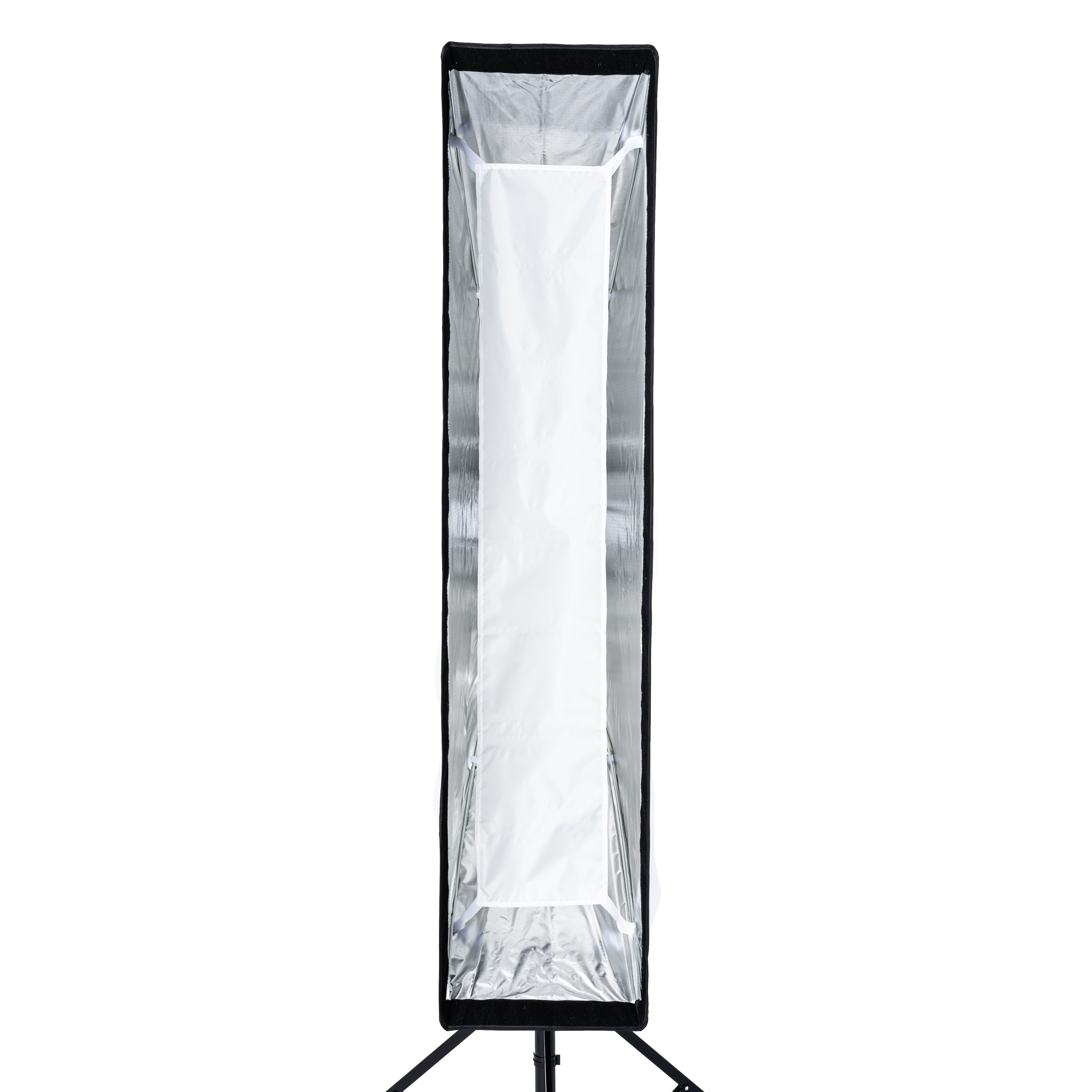 Cheetah Stand 12x55 Strip Softbox