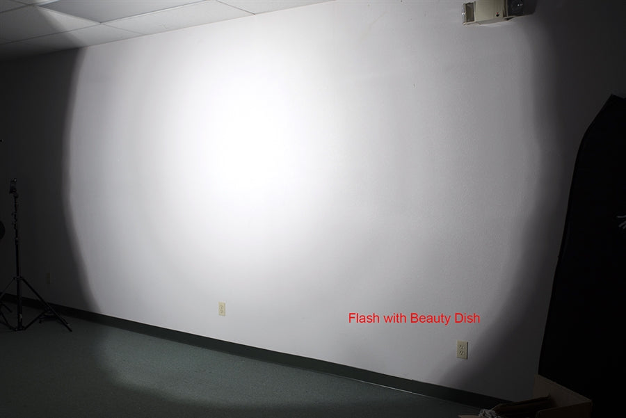 Cheetah Stand QPB-48 with Focusing System Softbox