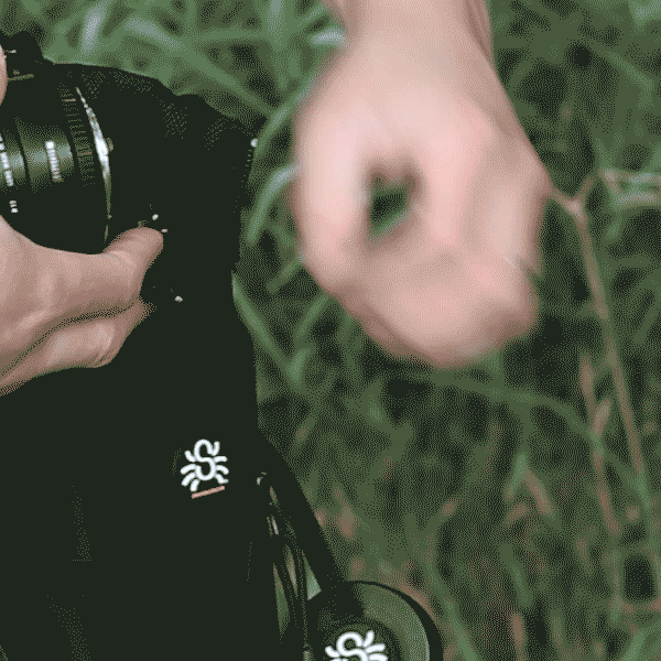 Spider Lens Pouch