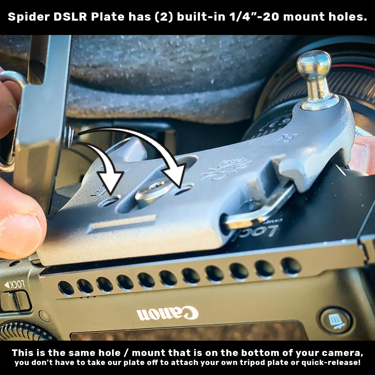 211: SpiderPro Holster Set - Holster + DSLR Camera Plate