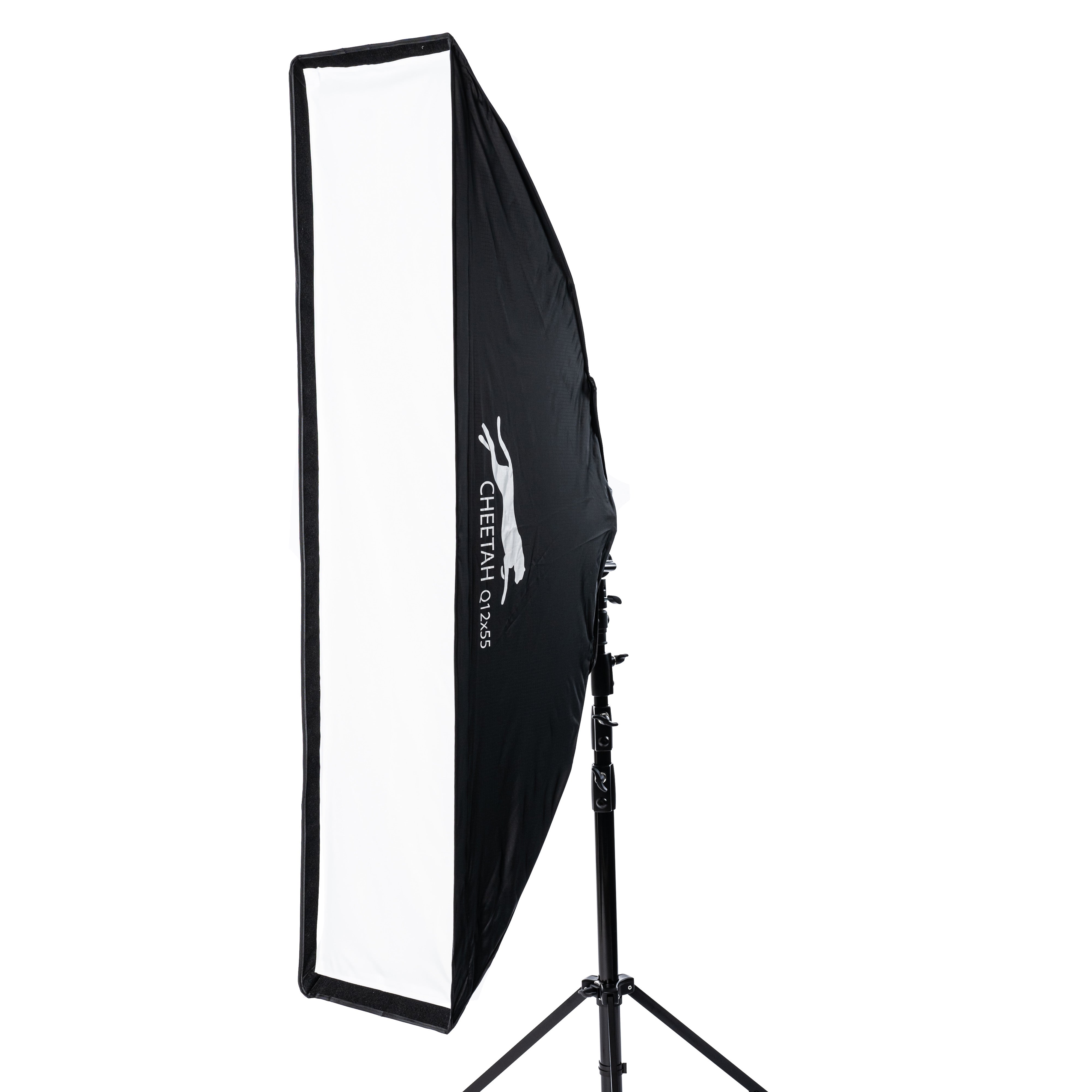 Cheetah Stand 12x55 Strip Softbox