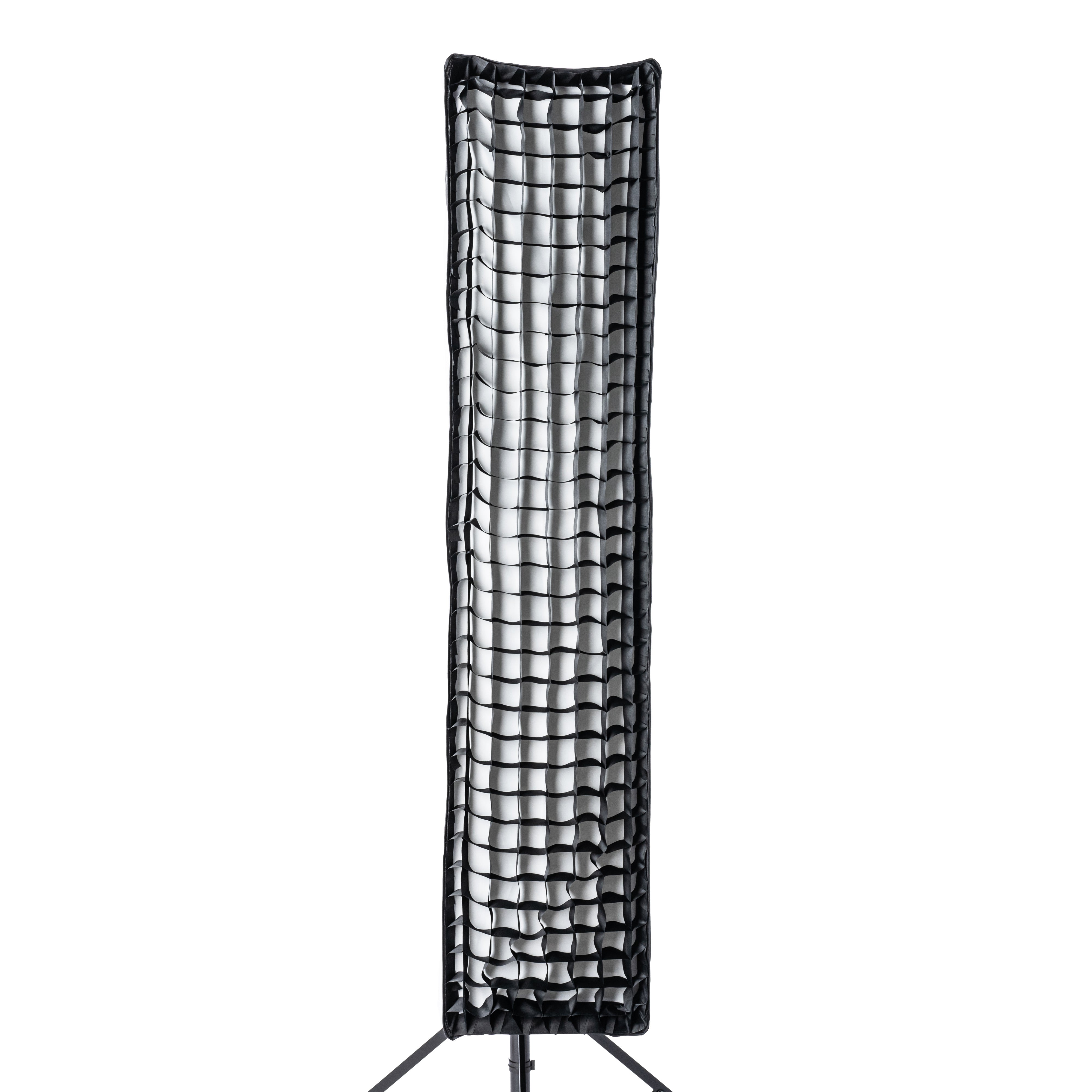Cheetah Stand 12x55 Strip Softbox