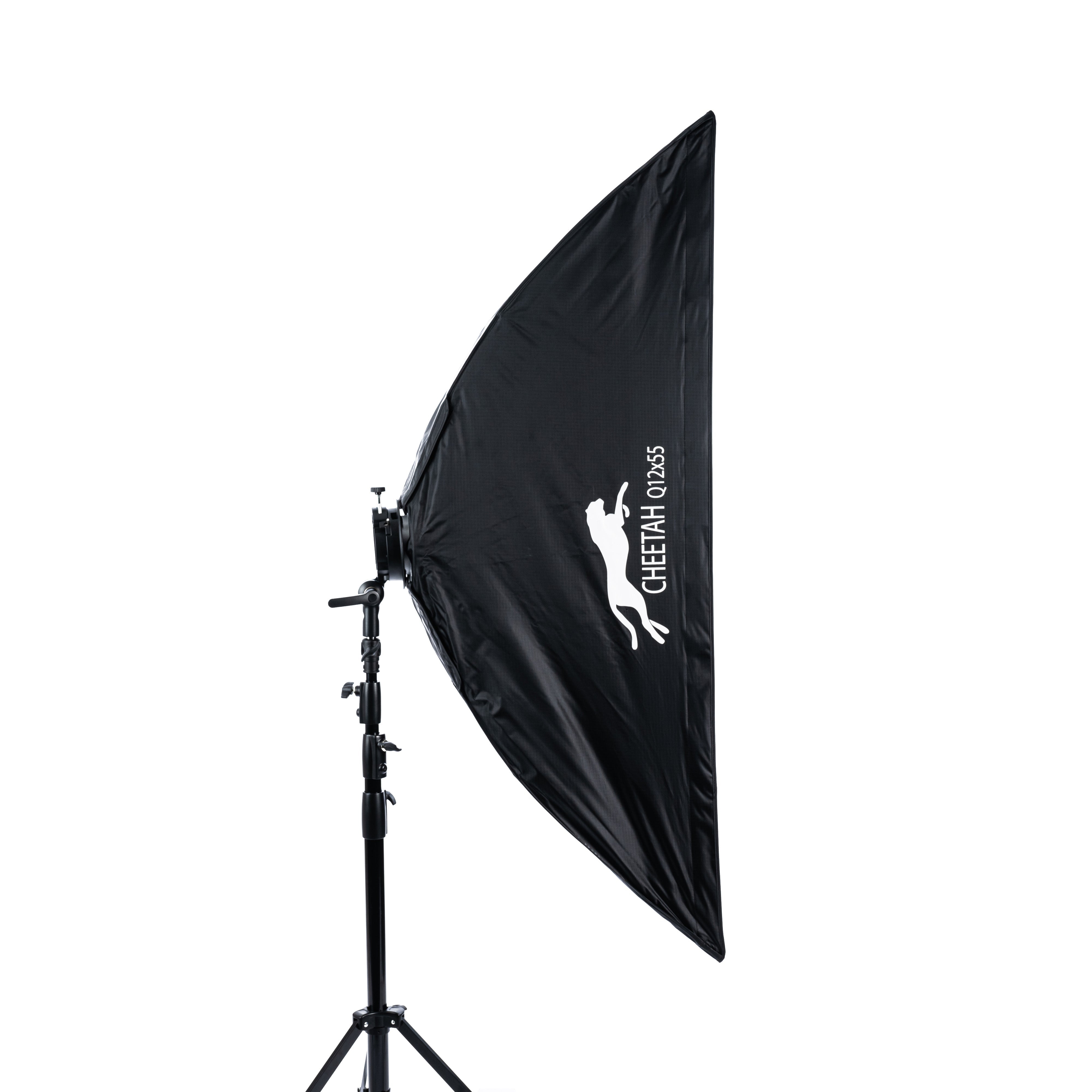 Cheetah Stand 12x55 Strip Softbox