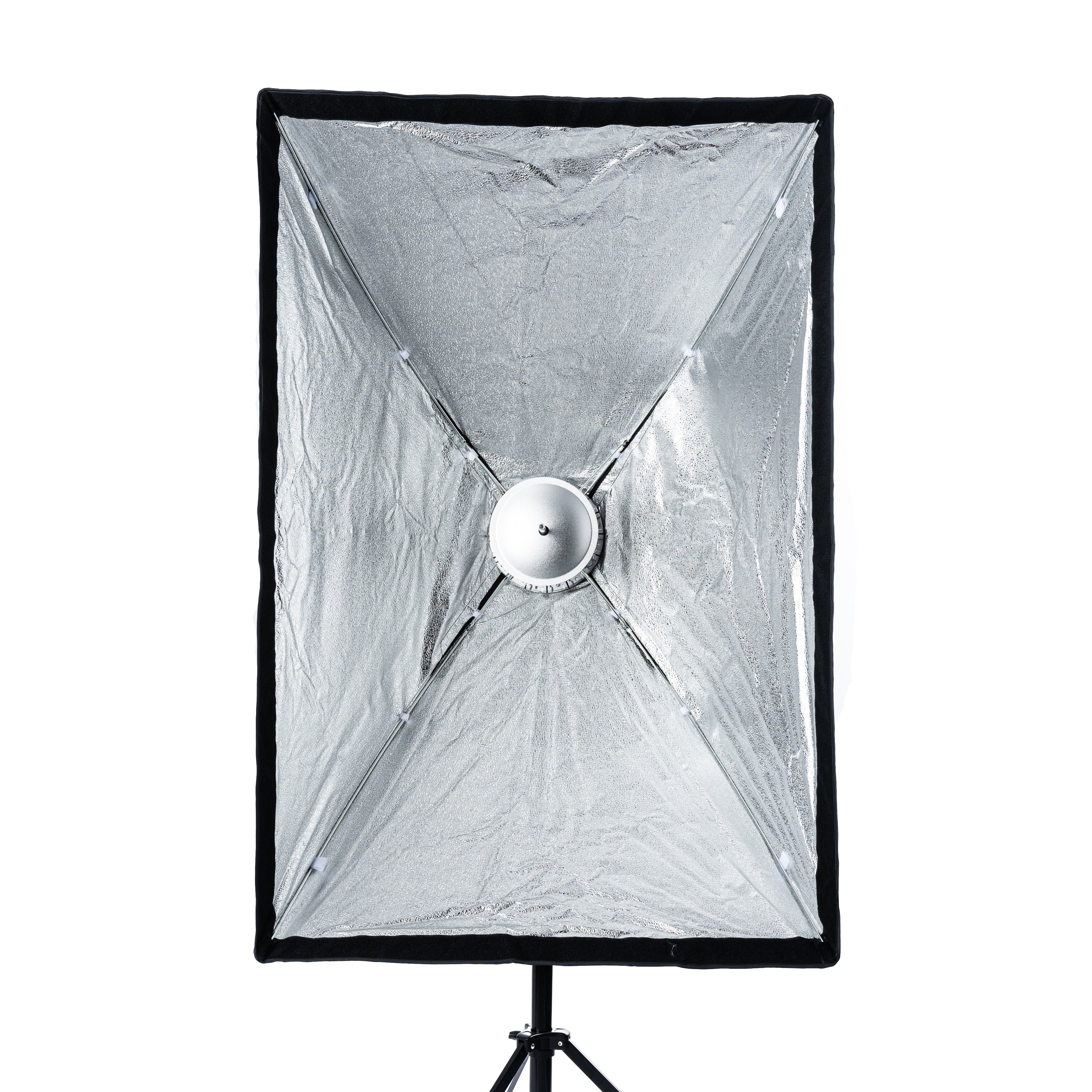 Cheetah Stand Window 32x48 Window Quick Softbox