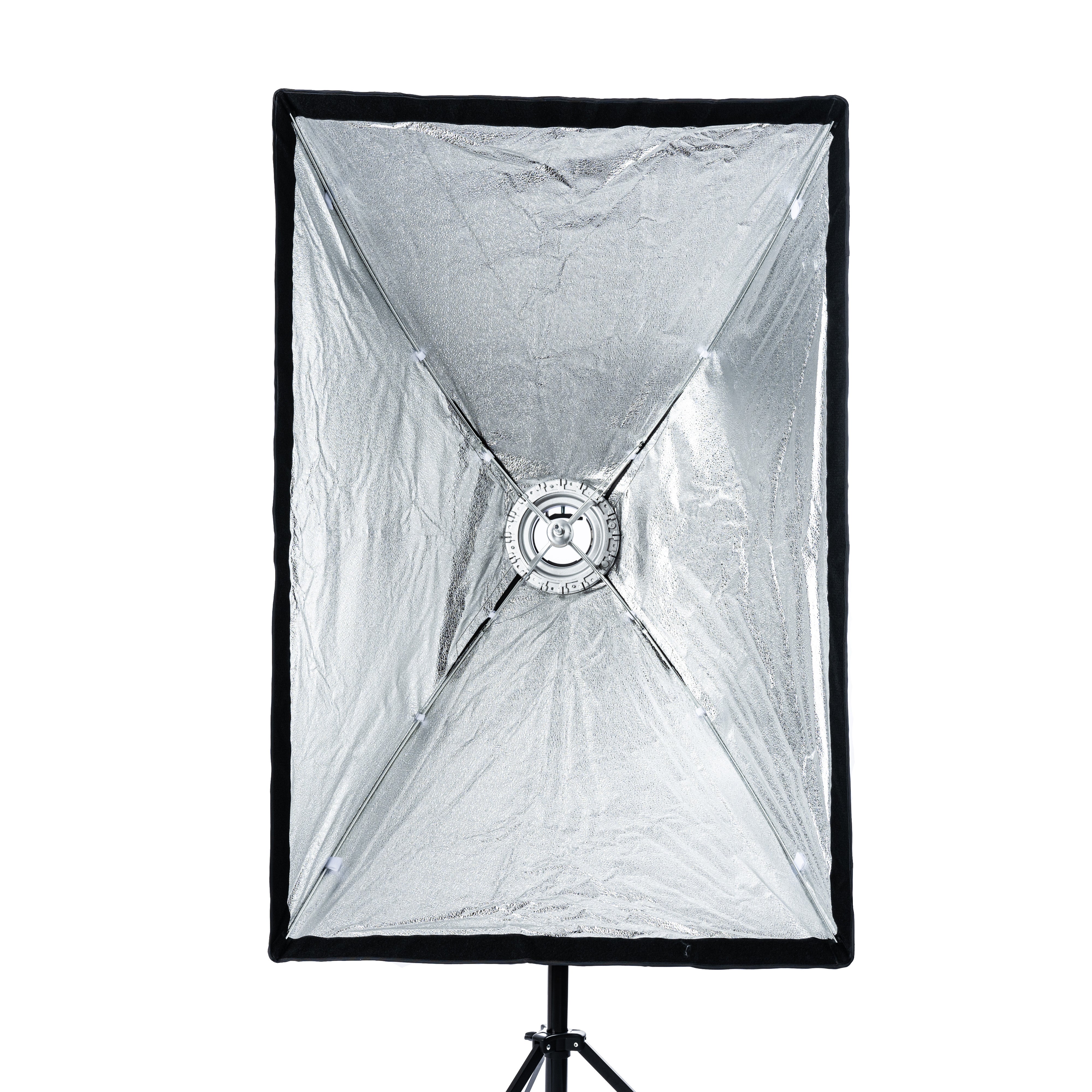 Cheetah Stand Window 32x48 Window Quick Softbox