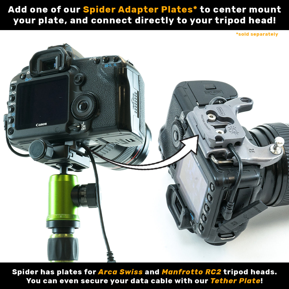 211: SpiderPro Holster Set - Holster + DSLR Camera Plate