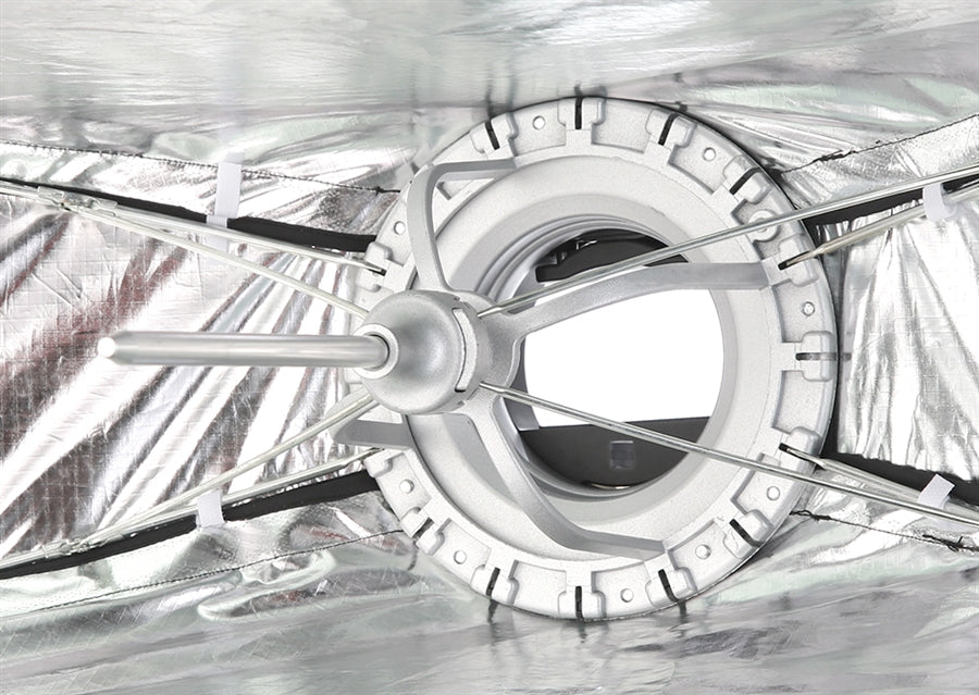 Cheetah Stand 12x55 Strip Softbox