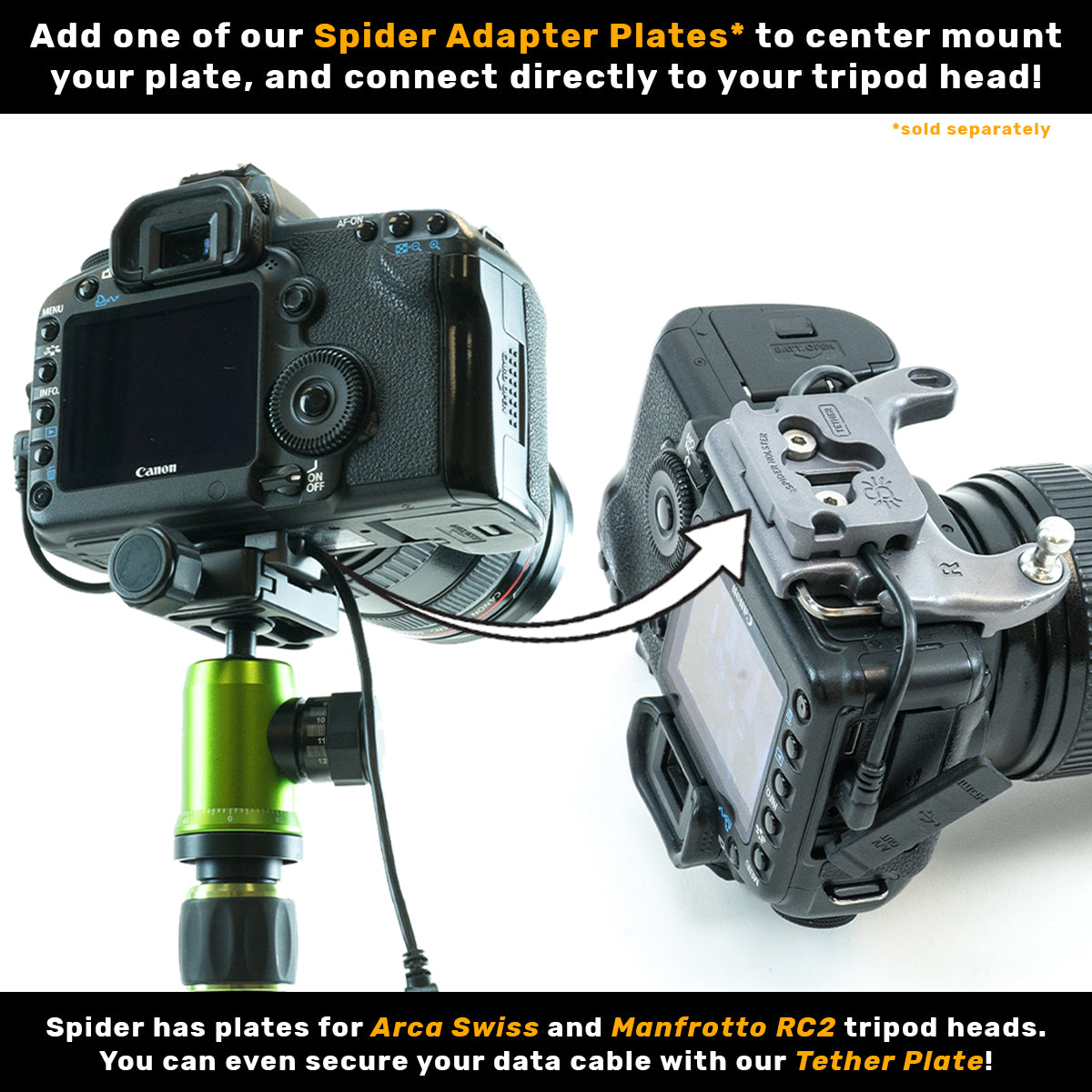 301: SpiderPro DSLR Camera Plate